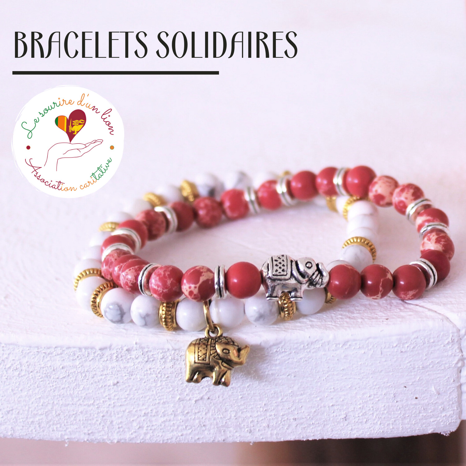 Bannière Le sourire d'un lion